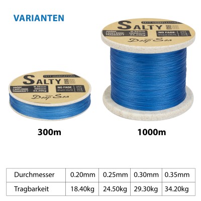 Team Deep Sea Salty-Braid Geflochtene Schnur 0,20mm - blue - 300m