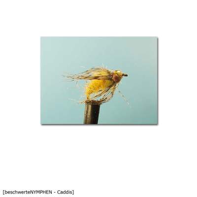 X-Version Fly Beschwerte Nymphe CADDIS ,12 Gr.12 - 1Stück - 77