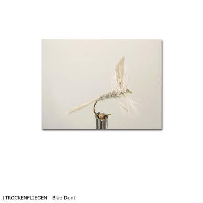 X-Version Fly Trockenfliege BLUE DUN 16 Gr.16 - 1Stück - 20