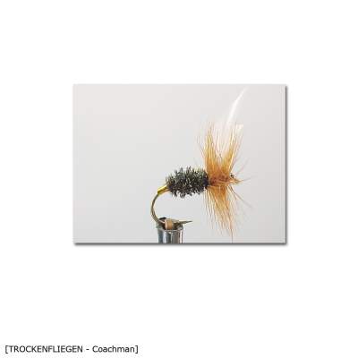 X-Version Fly Trockenfliege COACHMAN 16 Gr.16 - 1Stück - 21