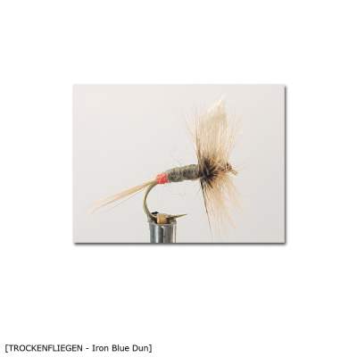 X-Version Fly Trockenfliege IRON BLUE DUN 16 Gr.16 - 1Stück - 22