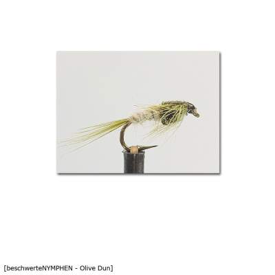 X-Version Fly Beschwerte Nymphe OLIVE DUN 10, - Gr.10 - 1Stück - 58