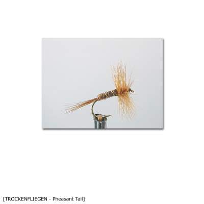 X-Version Fly Trockenfliege PHEASANT TAIL 12, - Gr.12 - 1Stück - 29