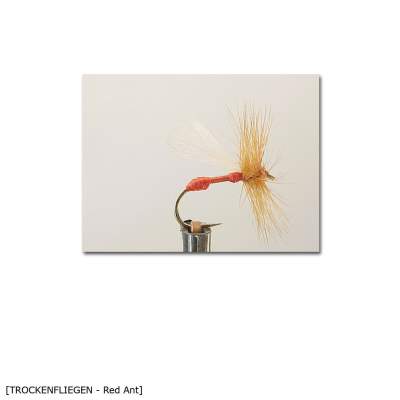 X-Version Fly Trockenfliege RED ANT 16 Gr.16 - 1Stück - 30