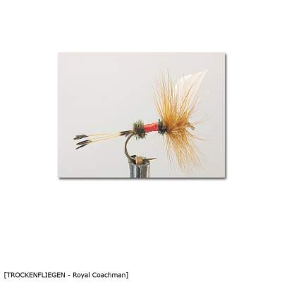 X-Version Fly Trockenfliege ROYAL COACHMAN 14 Gr.14 - 1Stück - 27