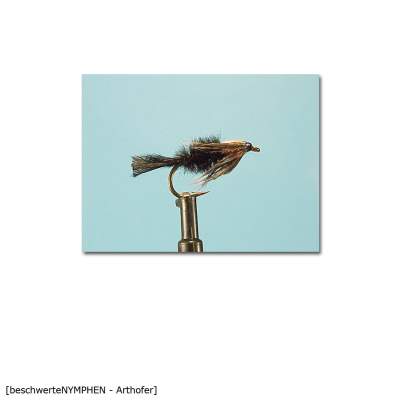 X-Version Fly Beschwerte Nymphe ARTHOFER  10 Gr.10 - 1Stück - 70
