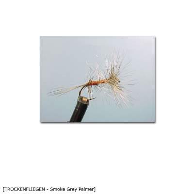 X-Version Fly Trockenfliege Smoke Grey Palmer 14 Gr.14 - 1Stück - 34