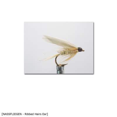 X-Version Fly Nassfliege GOLD RIBBED HAIRS EAR 10 Gr.10 - 1Stück - 43