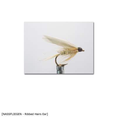 X-Version Fly Nassfliege GOLD RIBBED HAIRS EAR 10, - Gr.10 - 1Stück - 43