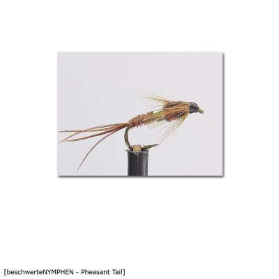 X-Version Fly Beschwerte Nymphe PHEASANT TAIL 14 Gr.14 - 1Stück - 60