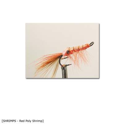 X-Version Fly Red Poly Shrimp 8, - Gr.8 - 1Stück - 55