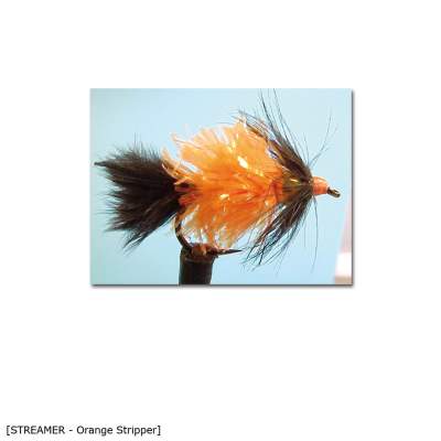 X-Version Fly Streamer ORANGE STRIPPER 10, - Gr.10 - 1Stück - 6