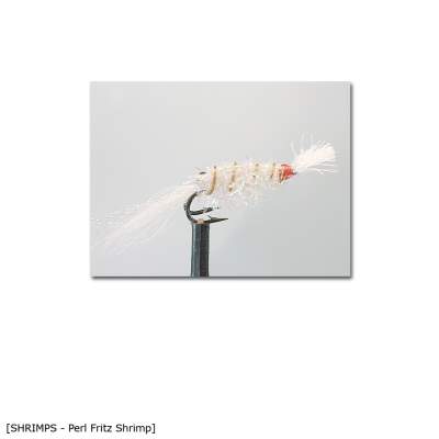 X-Version Fly Perl Fritz Shrimp 8 Gr.8 - 1Stück - 57