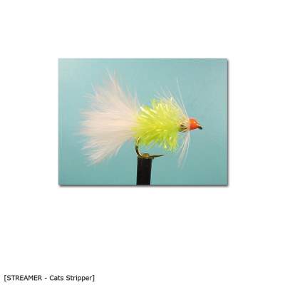 X-Version Fly Streamer CATS STRIPPER 10 Gr.10 - 1Stück - 7