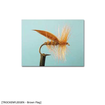 X-Version Fly Trockenfliege Brown Flag 10 Gr.10 - 1Stück - 36