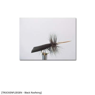 X-Version Fly Trockenfliege BLACK ROOFWING 14 Gr.14 - 1Stück - 31