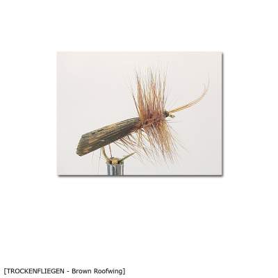 X-Version Fly Trockenfliege BROWN ROOFWING 12 Gr.12 - 1Stück - 32