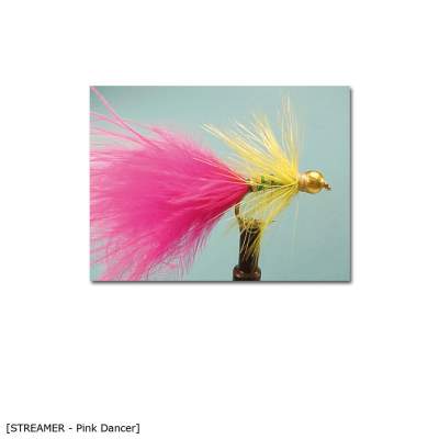 X-Version Fly Streamer PINK DANCER 10, - Gr.10 - 1Stück - 4