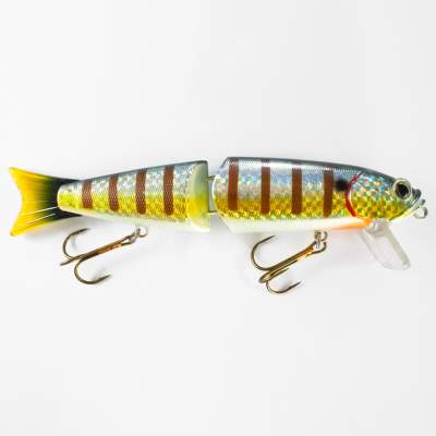 Roy Fishers Super Freak 28 BG 28cm - BG - 220g - 1Stück