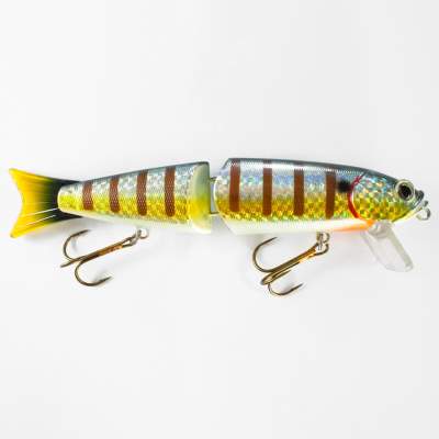 Roy Fishers Super Freak 28 BG, - 28cm - BG - 220g - 1Stück