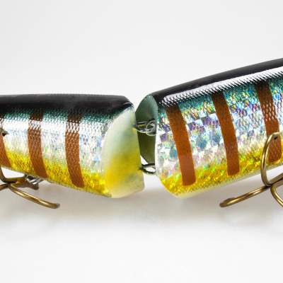 Roy Fishers Super Freak 28 BG 28cm - BG - 220g - 1Stück
