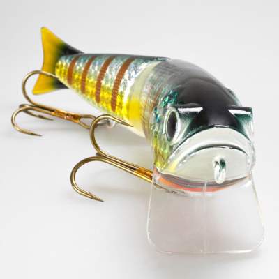Roy Fishers Super Freak 28 BG 28cm - BG - 220g - 1Stück