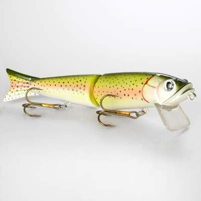 Roy Fishers Super Freak 28 RT 28cm - RT - 220g - 1Stück