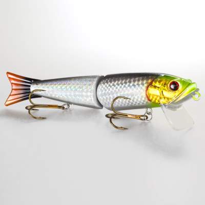 Roy Fishers Super Freak 28 SY 28cm - SY - 220g - 1Stück