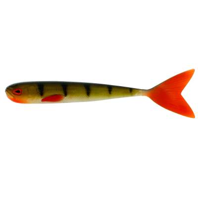 Westin MegaTeez 8 (20,4 cm) No Action V Tail Shad Striped Perch, 20,4cm - Striped Perch - 1Stück