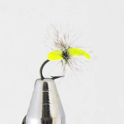 Fliegenset Einsteiger Forelle Exclusive Gold Fly Series 2,70m #5/6