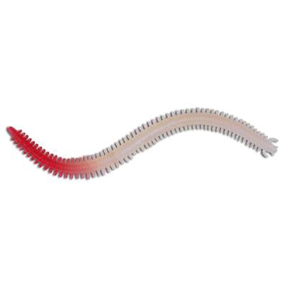 Roy Fishers Bass Centipede 150 AHT 15cm - albino hot tail - 6Stück