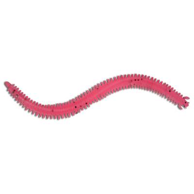 Roy Fishers Bass Centipede 150 DP 15cm - dirty princess - 6Stück