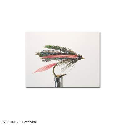 X-Version Fly Streamer ALEXANDRA 10 Gr.10 - 1Stück - 1