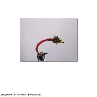 X-Version Fly Beschwerte Nymphe BLOODWORM 12, - Gr.12 - 1Stück - 82