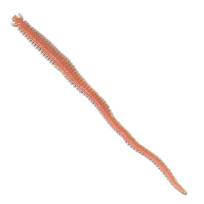 Berkley Gulp Saltwater Nereis/Seeringelwurm 15 N 15cm - natural - 10Stück