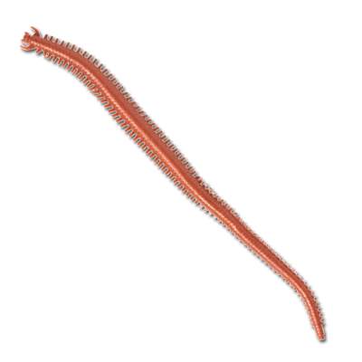 Berkley Gulp Saltwater Nereis/Seeringelwurm 15 NP 15cm - new penny - 10Stück