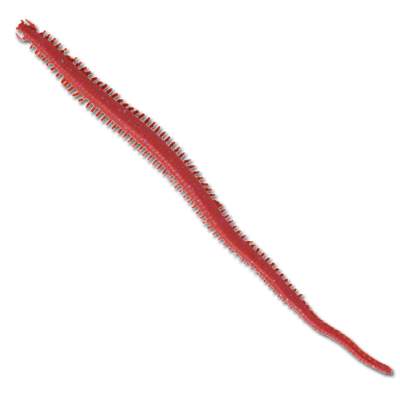 Berkley Gulp Saltwater Nereis/Seeringelwurm 10 B 10cm - bloody - 15Stück