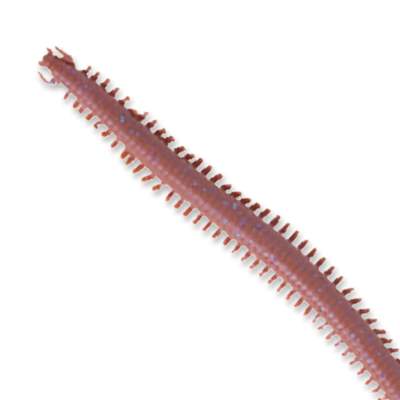 Berkley Gulp Saltwater Nereis/Seeringelwurm 10 DB 10cm - dark brown - 15Stück