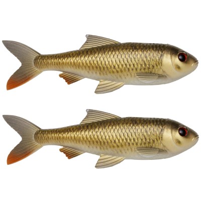 Crucian Carp