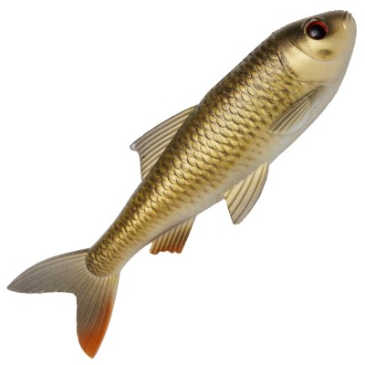 Pulzbait Skinz - 15cm Roach Skinz - 15cm - 2 Stück - Crucian Carp