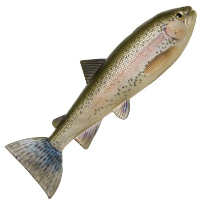 Pulzbait Skinz - 15cm Trout Skinz - 15cm - 2 Stück - Rainbow Trout