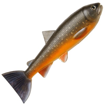 Pulzbait Skinz - 15cm Trout Skinz - 15cm - 2 Stück - Arctic Char