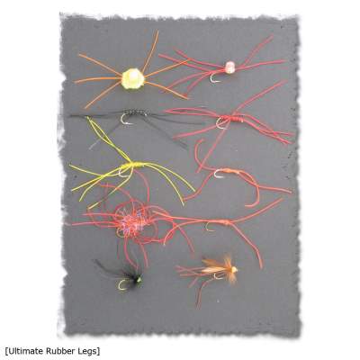 X-Version Fly Fliegen-Set Ultimate Rubber Legs 10Stück