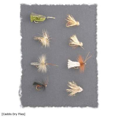 X-Version Fly Fliegenset: CADDIS DRY FLIES 8Stück