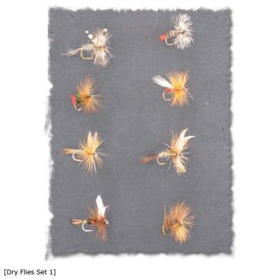 X-Version Fly Fliegenset: DRY FLIES 1 8Stück