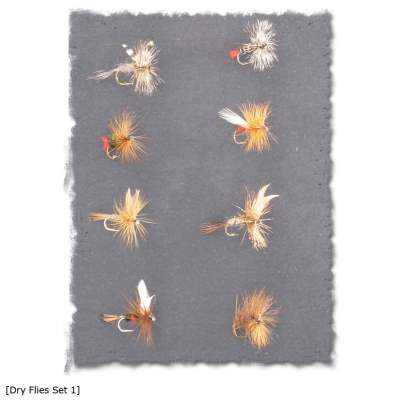 X-Version Fly Fliegenset: DRY FLIES 1, - 8Stück