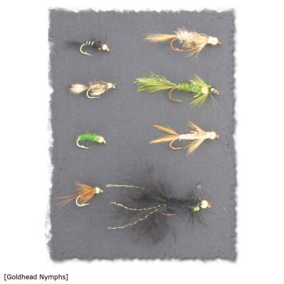 X-Version Fly Fliegenset: GOLDHEAD NYMPH 8Stück