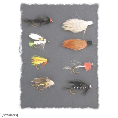 X-Version Fly Fliegenset: STREAMERS 8Stück