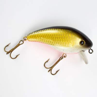 Roy Fishers Maximum 80 WS, - 8cm - WS - 28g - 1Stück