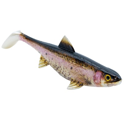 Senshu Real Fin Shad, 8cm - Rainbow Trout - 4g - 1 Stück